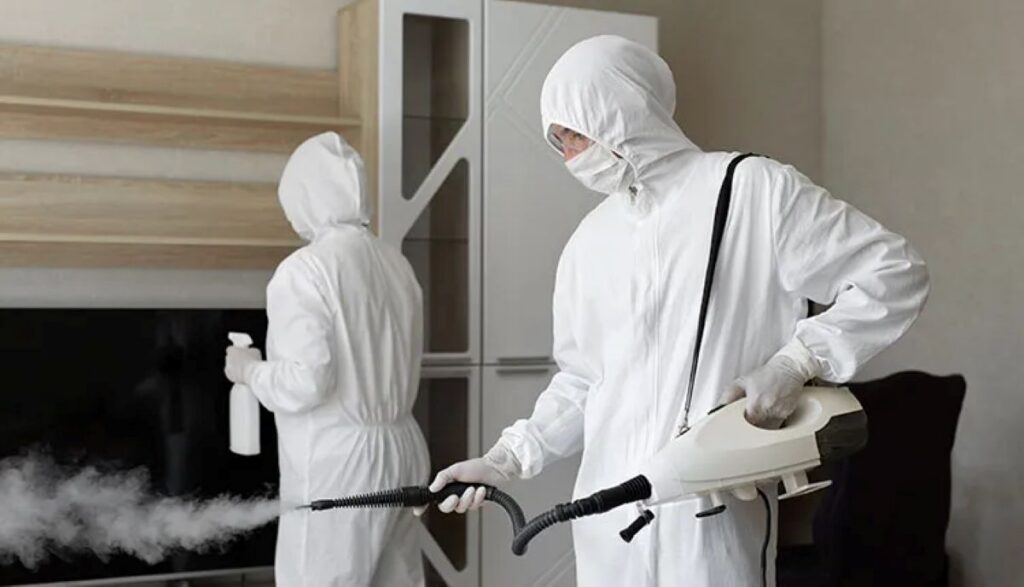 pest control blue mountains