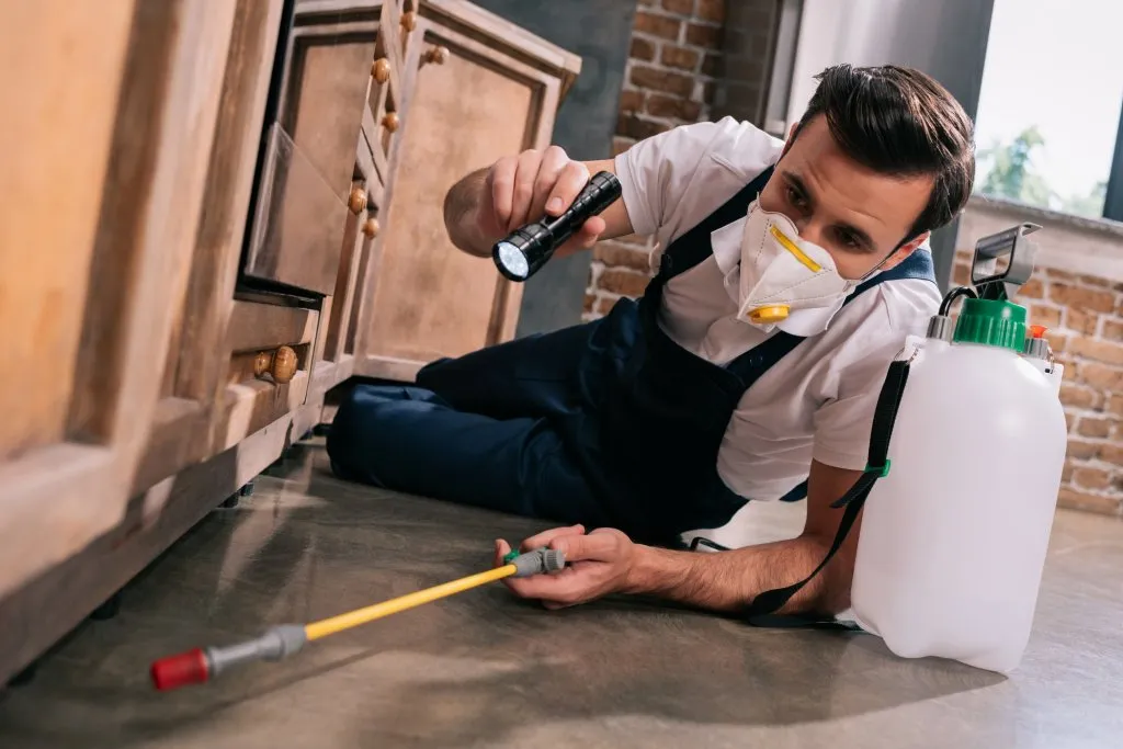 pest fumigation sydney